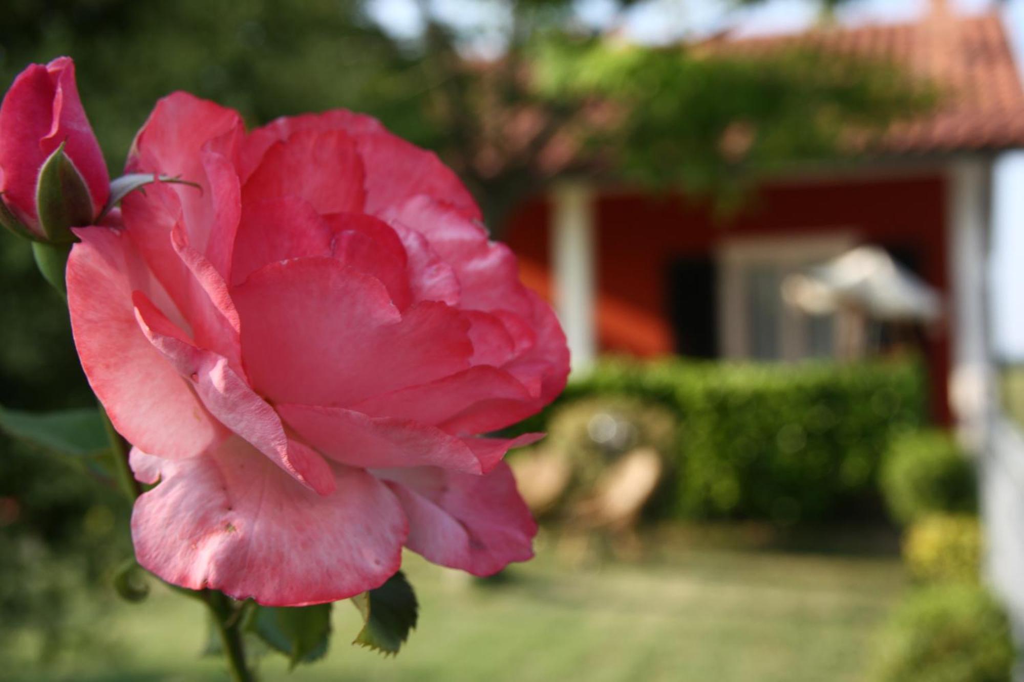 B&B Doremi Osimo Zewnętrze zdjęcie