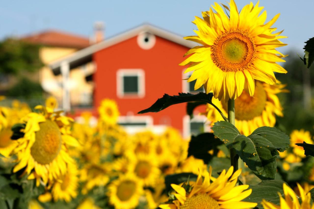 B&B Doremi Osimo Zewnętrze zdjęcie